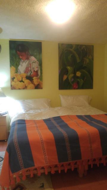 Готель Casa Papaya San Miguel Сан-Міґель-де-Альєнде Екстер'єр фото