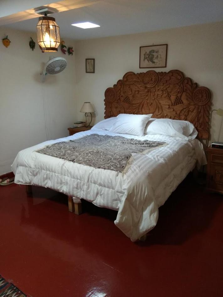 Готель Casa Papaya San Miguel Сан-Міґель-де-Альєнде Екстер'єр фото