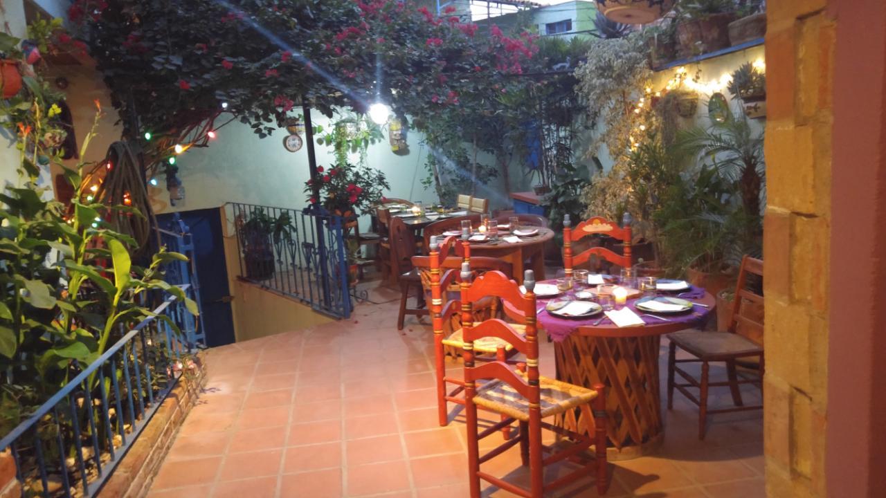Готель Casa Papaya San Miguel Сан-Міґель-де-Альєнде Екстер'єр фото